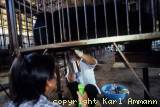 Bare Bail  » Click to zoom ->